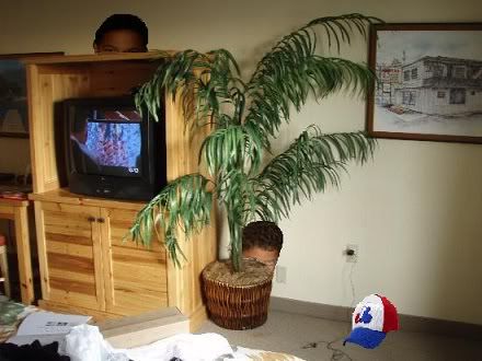 hotelplant.jpg