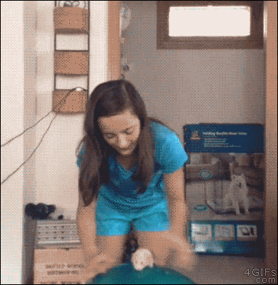 Du1FYV4.gif
