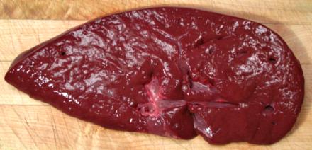 ab_liver06g.jpg