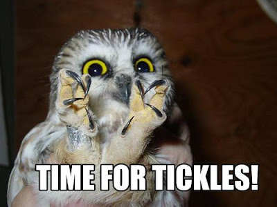 tickles+fysa.jpg