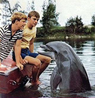 flipper1.jpg