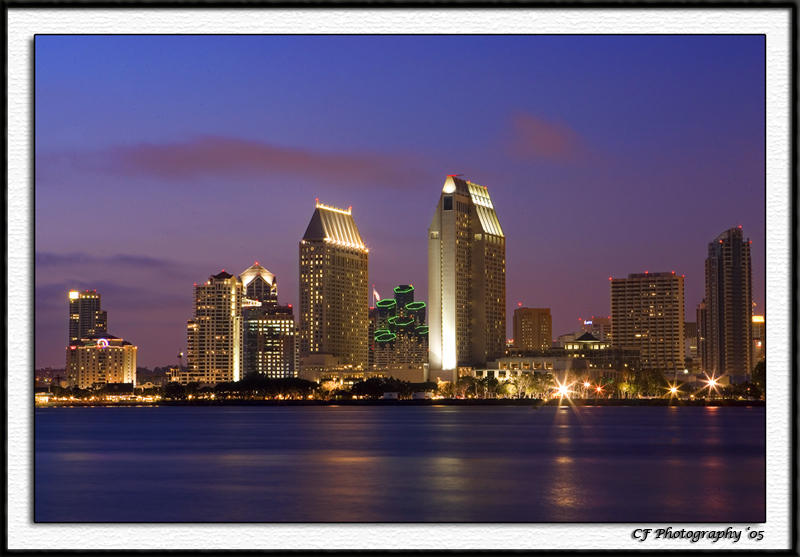 San_Diego_Skyline_by_cosfrog.jpg