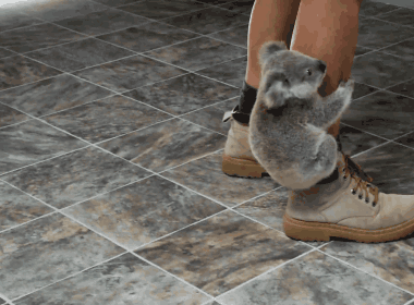 tumblr_mmg189DfQD1s42d5lo1_400.gif