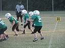 IMG_4381.jpg