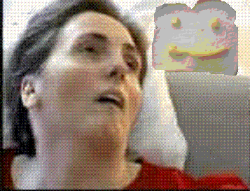 schiavo.gif