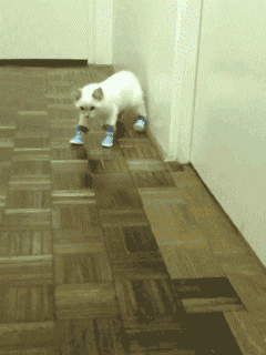 MUnHNZ4.gif