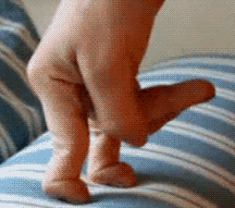 83020637.gif