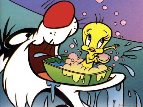 sylvester-tweety.jpg