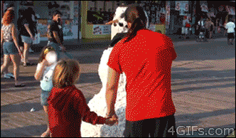 31.gif