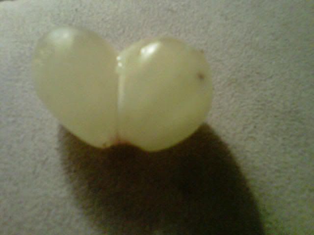 weirdgrape.jpg