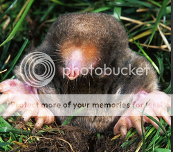 5c29d966.png