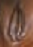 memphisv.png