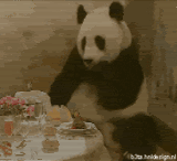163847-1.gif
