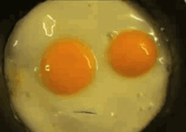 egg-mumbles.gif%3Fw%3D450