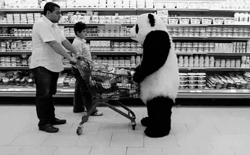 tumblr_m1121jWVY41qdbqz2o1_500.gif