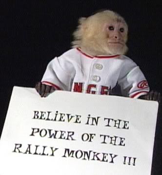 RALLY_MONKEY-1.jpg