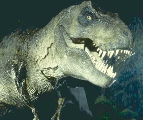 trex1.jpg
