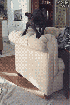 tumblr_o0wbubaIYJ1tlb56zo1_250.gif