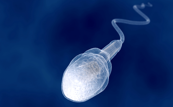 sperm.gif