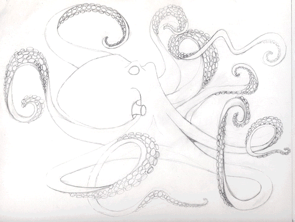 octopusblog.gif