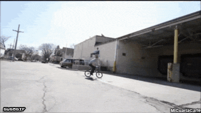1NY484p.gif