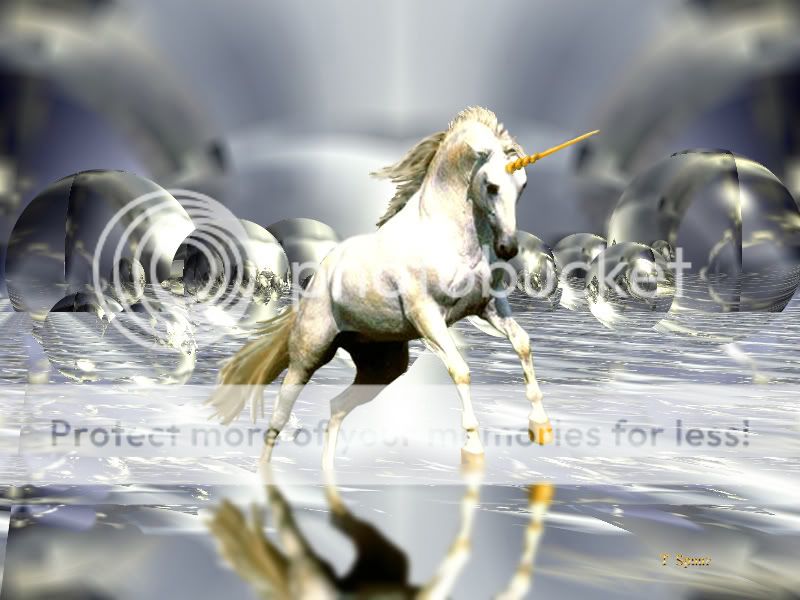 Unicorn.jpg