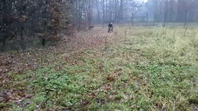 banphE2.gif