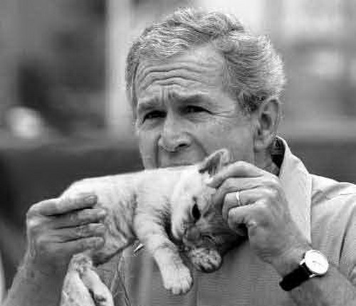 funny_bush_041.jpg