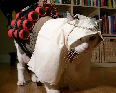 arabkitty.jpg