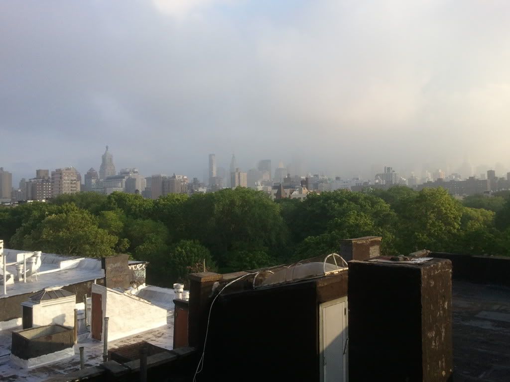 nyc039.jpg