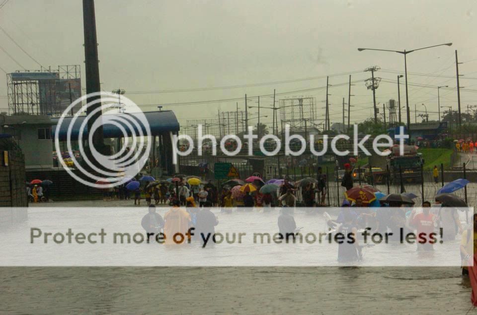 599936_145178215619971_2016742931_n.jpg