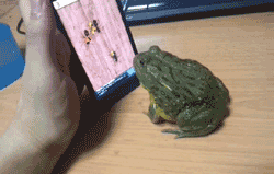 usM9KnD.gif