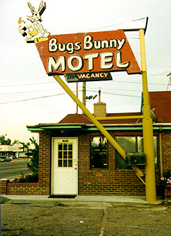 bugs.jpeg