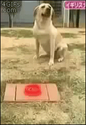 Q9zBwyS.gif