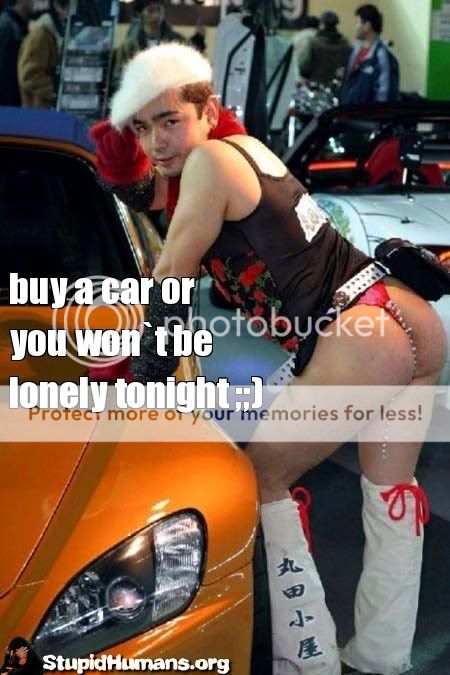 owned-stupid-human-1300979503.jpg