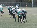 IMG_4380.jpg