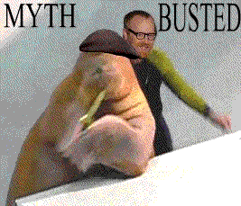 tumblr_lej7b9aRZE1qeytdfo1_400.gif