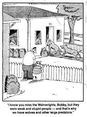 farside+wolves.jpg