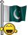 Pakistan_flag.gif