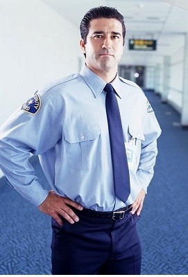 9131133.jpg