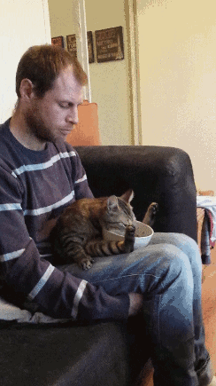 wDpRZxr.gif