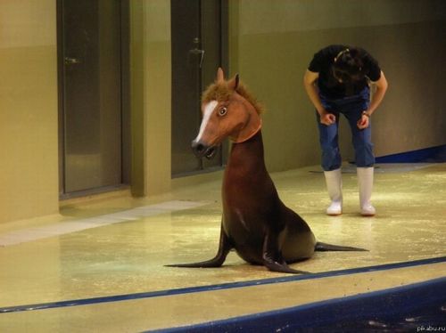 tumblr_m33ym6ETx81qzfsnio1_500.jpg