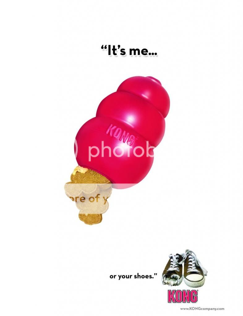 kong_zps894a5d92.jpg