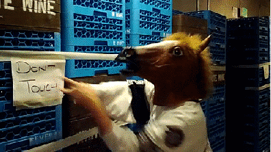 fs.gif