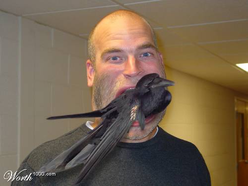 Eating+Crow(1).jpg