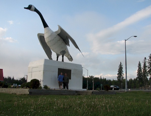 wawa_goose.jpg