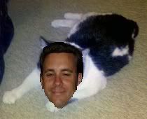 mattraincat.jpg