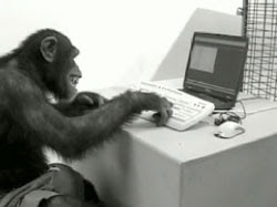 monkey.jpg