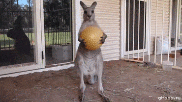 tumblr_m96bqfVzCQ1rahf9eo1_400.gif