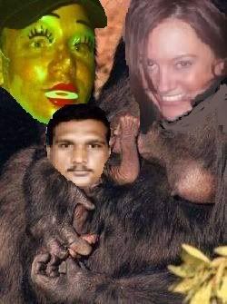 gorilla2.jpg
